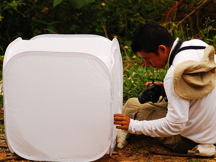 Guía ecoturística de plantas y aves de la hacienda La Esperanza y Cerro el Santísimo (Floridablanca, Santander)