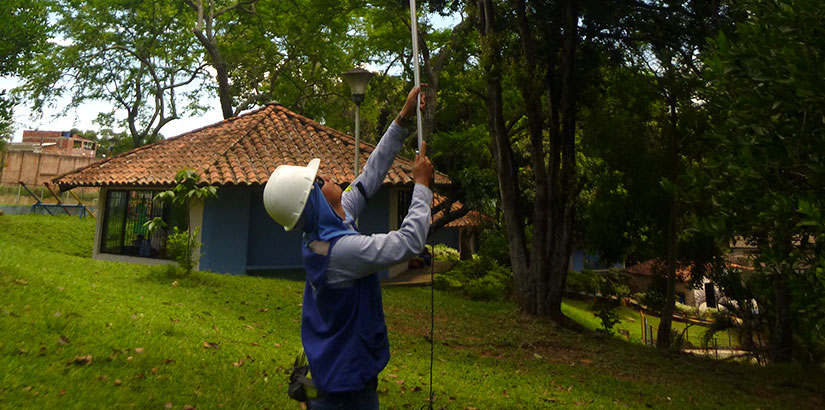Inventario forestal en las instalaciones de la sede regional Santander ICBF y sus respectivos centros zonales (Bucaramanga, Santander)