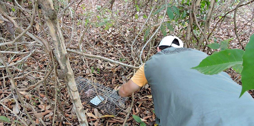 Linea base biótica en San Rafael de Lebrija – UPB