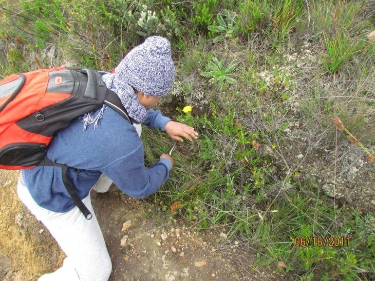 0001-analisis-de-integridad-ecologica-01