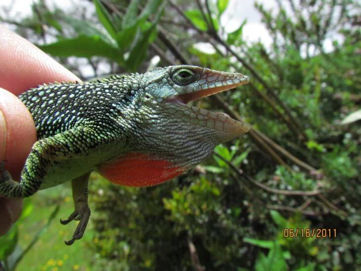 0001-analisis-de-integridad-ecologica-02