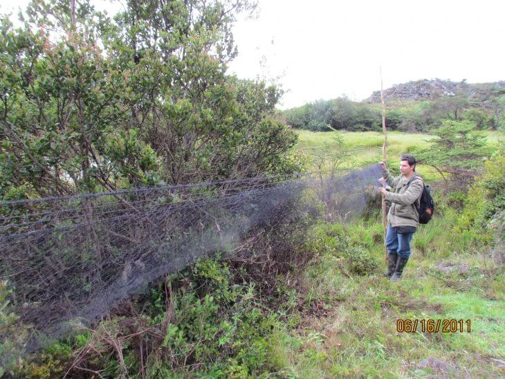 0001-analisis-de-integridad-ecologica-03