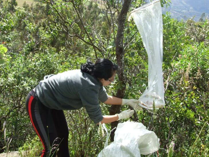 0001-analisis-de-integridad-ecologica-05