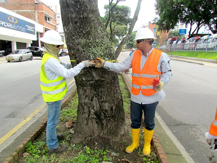 0018-caracterizacion-fauna-flora-intercambiador-meson-bucaros-01