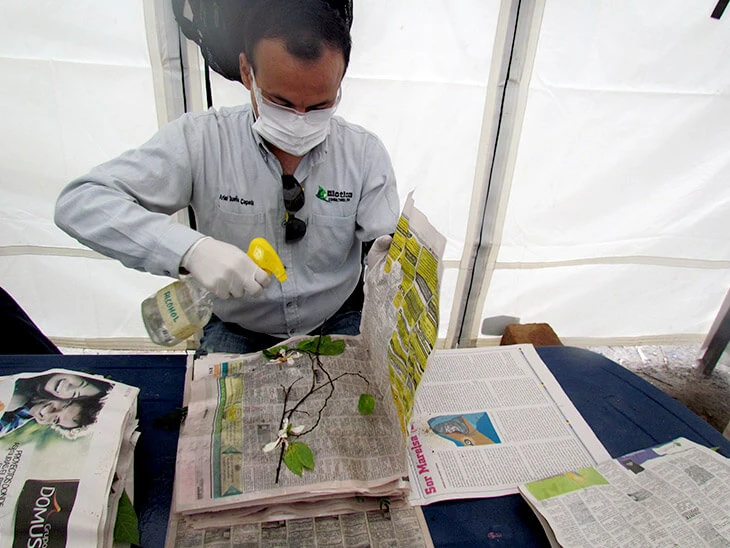 0018-caracterizacion-fauna-flora-intercambiador-meson-bucaros-03