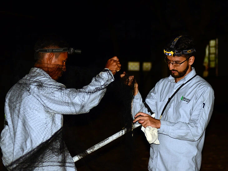 0018-caracterizacion-fauna-flora-intercambiador-meson-bucaros-06