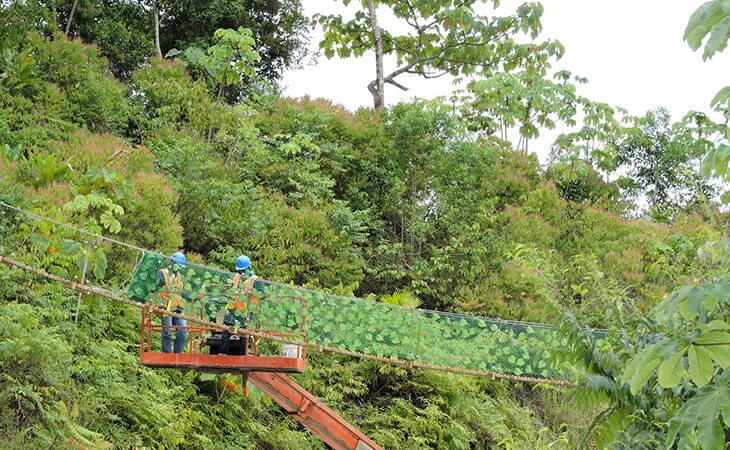 0031-construccion-puente-paso-fauna-02