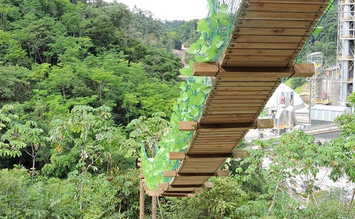 0031-construccion-puente-paso-fauna-04