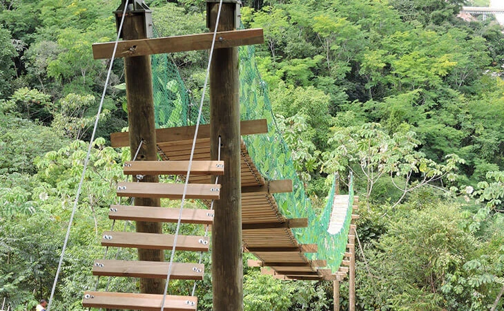 0031-construccion-puente-paso-fauna-05