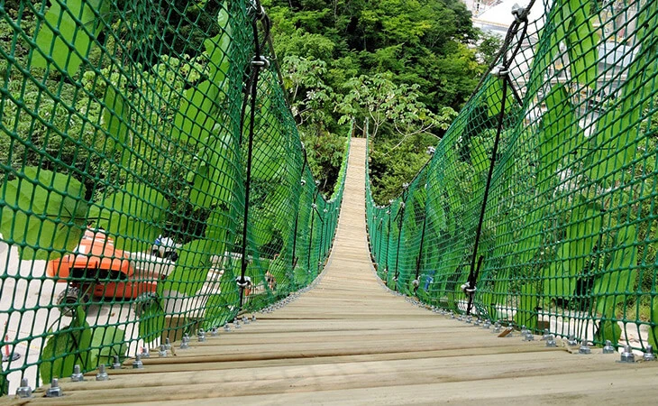 0031-construccion-puente-paso-fauna-06