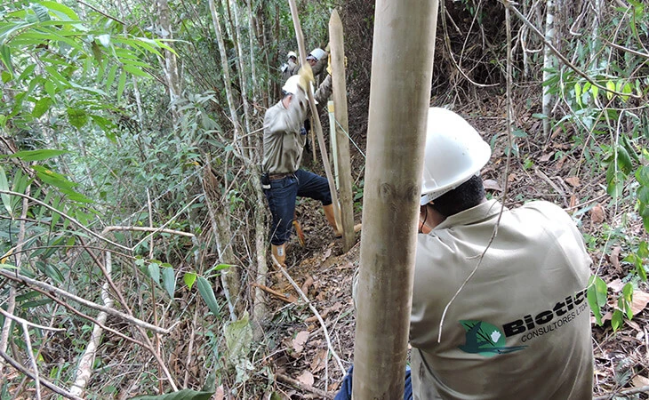 0032-compensacion-forestal-floresta-maceo-02