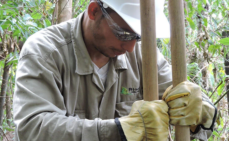 0032-compensacion-forestal-floresta-maceo-03