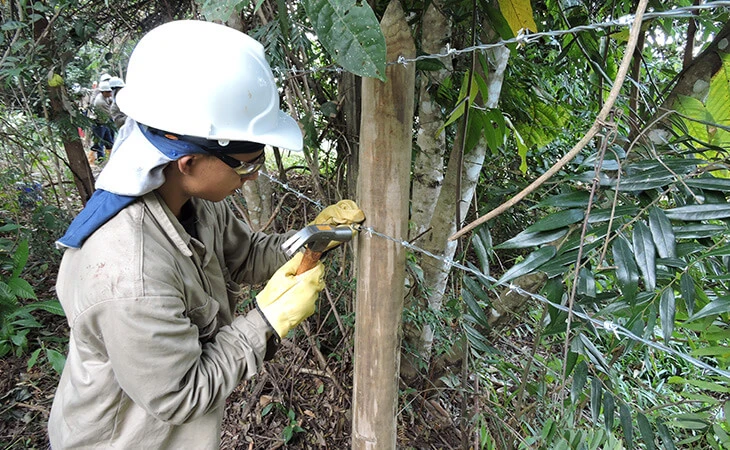 0032-compensacion-forestal-floresta-maceo-04