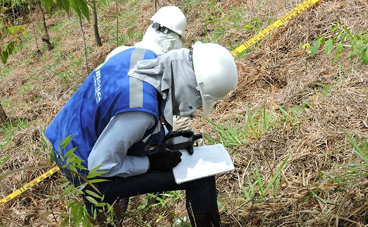 0032-compensacion-forestal-floresta-maceo-06