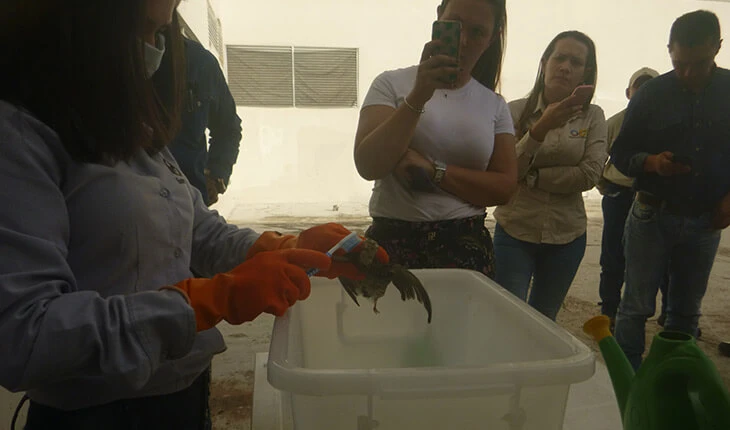 0033-taller-manejo-fauna-flora-yopal-07