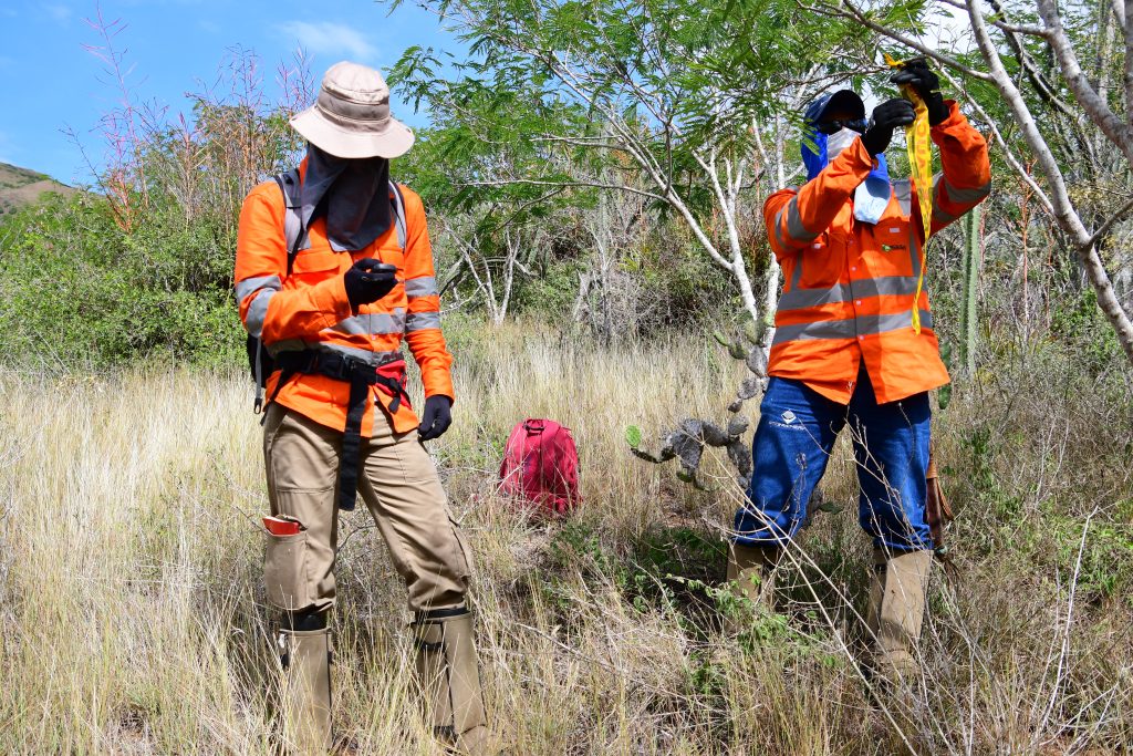 Caracterización de línea base de flora y fauna en el municipio de Bucaramanga – Santander